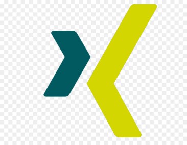 kisspng-computer-icons-xing-social-network-xing-logo-5b45ed8207a647.1291410315313094420313.jpg